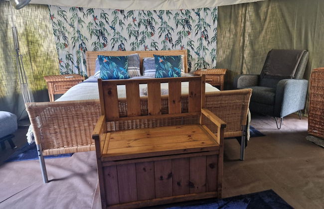 The Little Hide - Adult Only Camping Pods - Photo 15