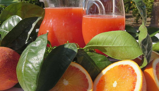 Orange juice tasting