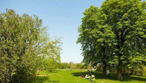 Vacation Apartment With Sauna And Garden View - Foto 4