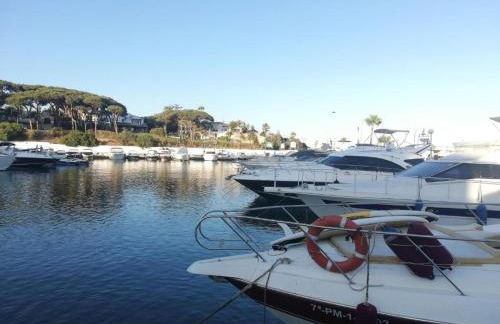 Estrelicia II - Foto 31