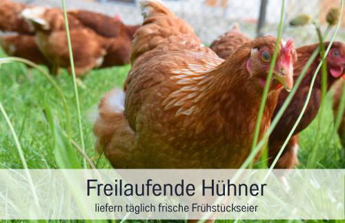 Bauernhof Finkel - Ferienwohnungen mit Balkon - Bergsicht - Traktor mitfahren - Tiere streicheln - entspannter Familienurlaub - zentrale Lage nahe Oberstdorf - Foto 65