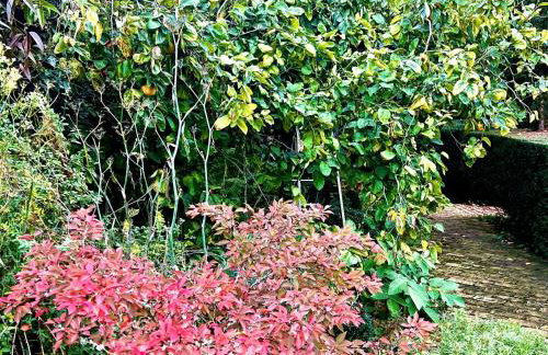 4 Bed in Eye- oc-34389 - Foto 48