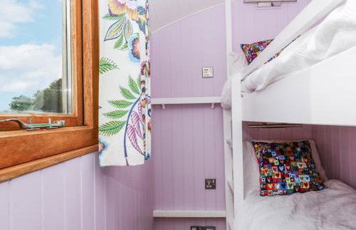 Brondel Luxury Shepherd's Hut - Foto 12