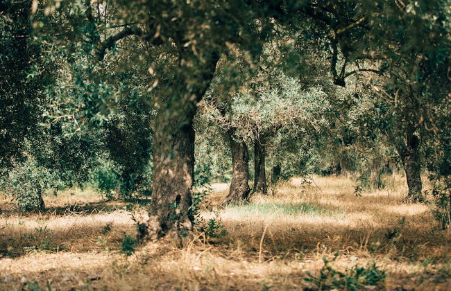 Su Leunaxiu - Foto 60