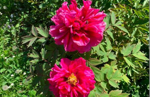 Villa Col di Luna-ProseccoHills - Foto 74