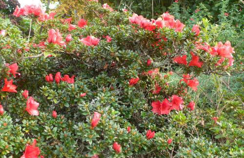 Casa do Tamanqueiro - Foto 19