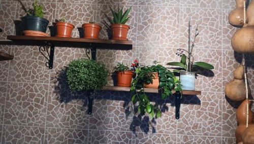 Casa da Rosarinha - Photo 2