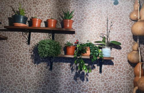 Casa da Rosarinha - Photo 2