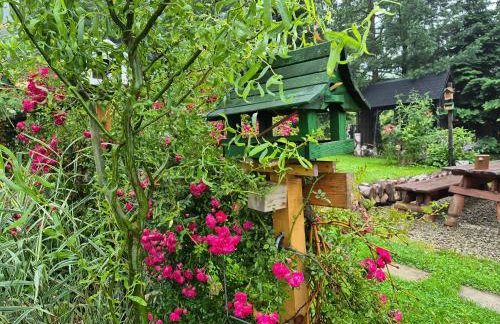 Beskidzka Ostoja - Foto 18