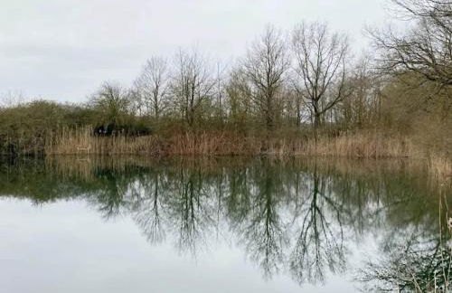 Arresting Apartment near Sea in Klütz - Foto 70