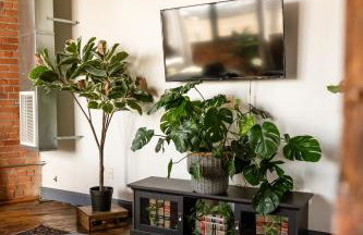 420 Friendly Canada Bridge View Loft Downtown FREE parking - Foto 5