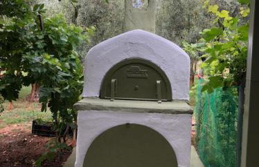 Green Olive Studios - Photo 36