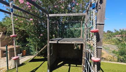 Villa Antonia - Foto 4, Garden