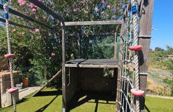 Villa Antonia - Foto 4