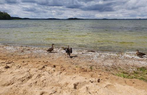 Fuledzki Biały Domek - Mazury, Jacuzzi, Sauna, Giżycko - Foto 47