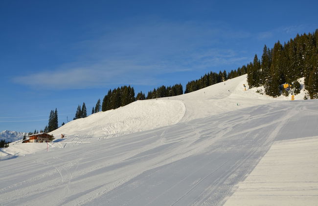 Alpine Premium Chalet Wallegg-Lodge - Foto 13