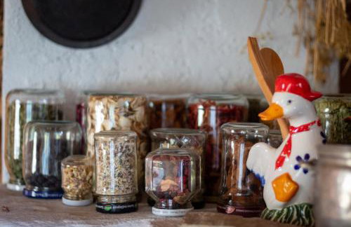 Zacisze Babci Ludwisi w Beskidzie Niskim - Photo 29