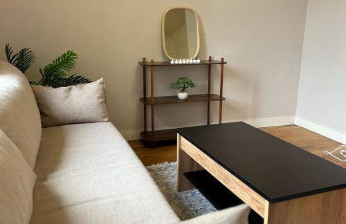 Grand T3 90m2 Haussmanien avec suite en centre ville et parking TOUT inclus - Foto 21