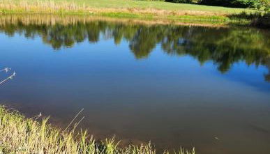 Great location at Mark Twain Lake - Foto 3