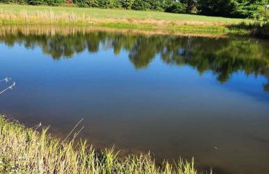 Great location at Mark Twain Lake - Foto 3