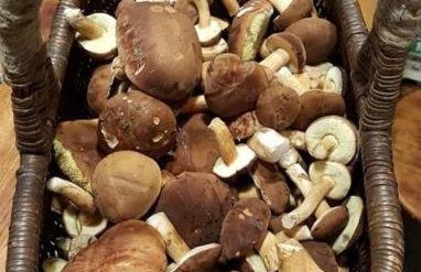 Wilga - urokliwy dom z bala (50 km od Warszawy) - Foto 24