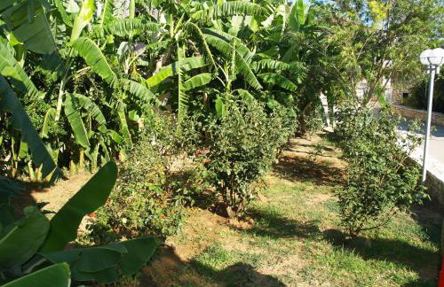 Akroyali Hotel & Villas - Foto 50