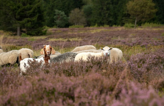Attractive Apartment in Diemelsee - Photo 27