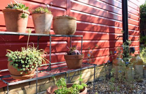 The Red Shed Entire home for 2 Private garden and parking 2 miles from Bury St Edmunds - Foto 23