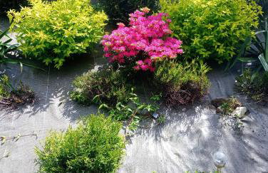 Słoneczny domek - Foto 20