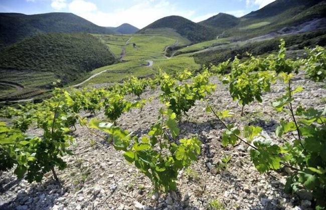 Apartments Ema - Foto 72