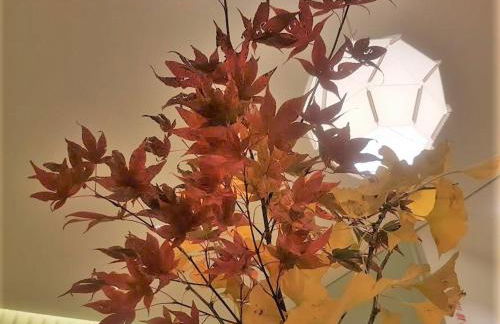 Sweet Apartments Downtown - Foto 37