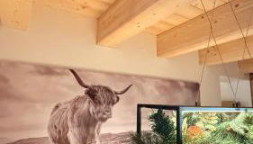 Maso K - Il Gufo Dorato - Foto 5