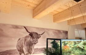 Maso K - Il Gufo Dorato - Foto 5