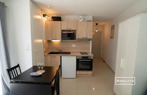 Riboleys -Superbe T1 à 100m de la plage - Foto 4