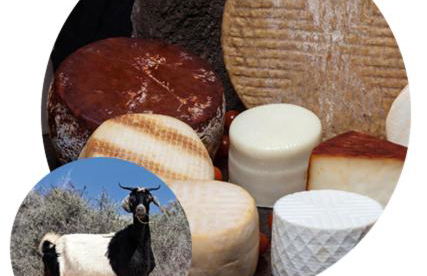 Villa Madelia - Photo 38