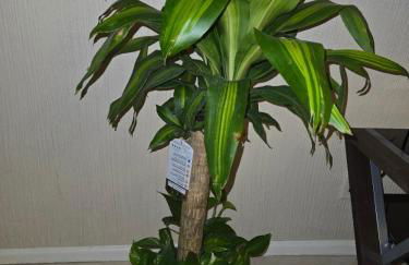 Cozy Townhouse Deer - Foto 41