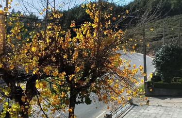 Garça-Real - Foto 25