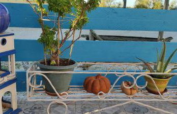 UNE MAISON SUR UNE PRESQU'ILE - Foto 18