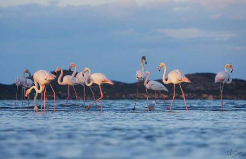 Beachfront House sea views near historic Cartagena - Foto 71