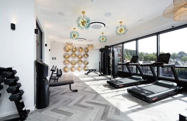 Dandi on the Hill - Photo 17