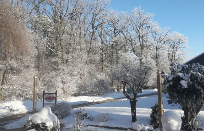 Heidetraum in der Pension Heidetraum - Photo 28