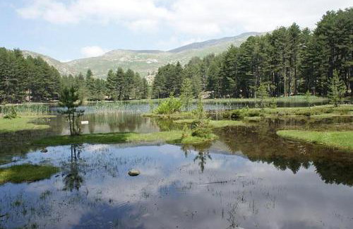 Résidence U MELU GRAND T3 ROUGE en rez de jardin - Foto 43
