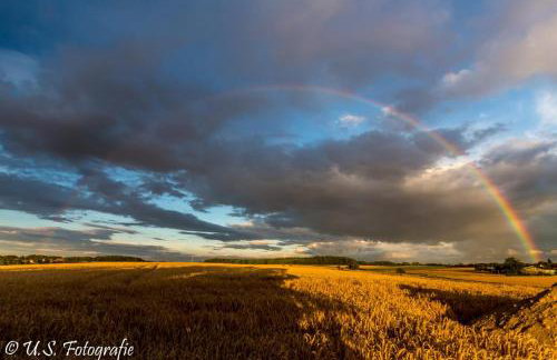 Ferienhaus Rote Sau - Foto 16