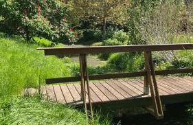 Natur an Metropole - Foto 24