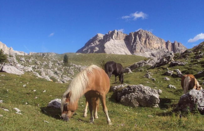 Residence Klementhof - A 208 3 - Photo 19