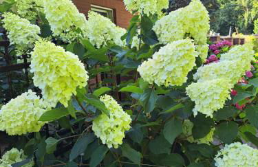 Ferienwohnung Schröder - Foto 28