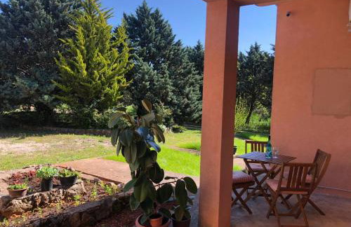 Apartman Miro - Foto 20