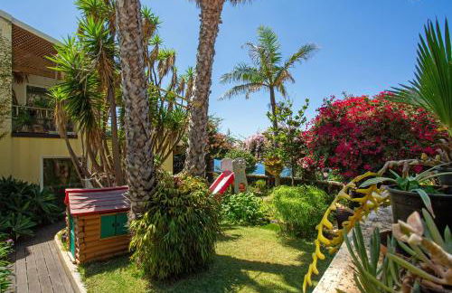 Bela Vigia - Foto 10