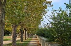 Jungle Sunshine Apartment - Foto 47