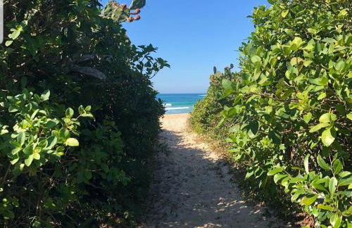 Cantinho do paraíso - Foto 1